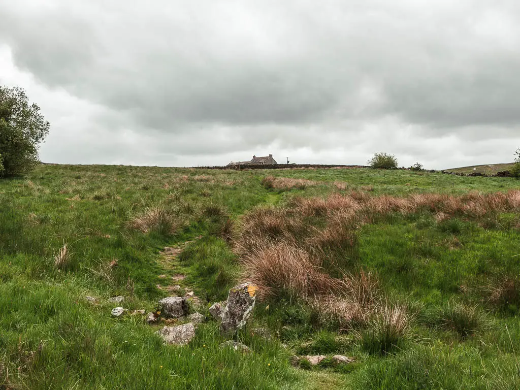 A barely visible path through the grass field with unkept grass, and a rooftop visible ahead over the hill.