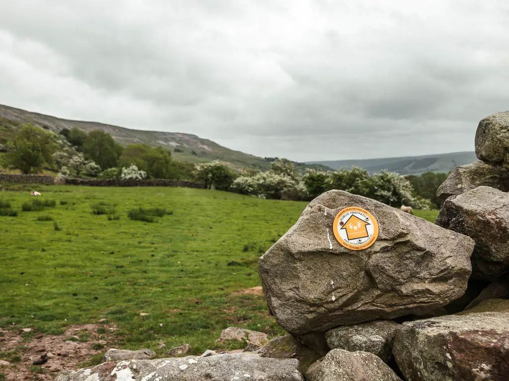 A yellow arrow on a rock, pointing straight ahead across a large grass field.