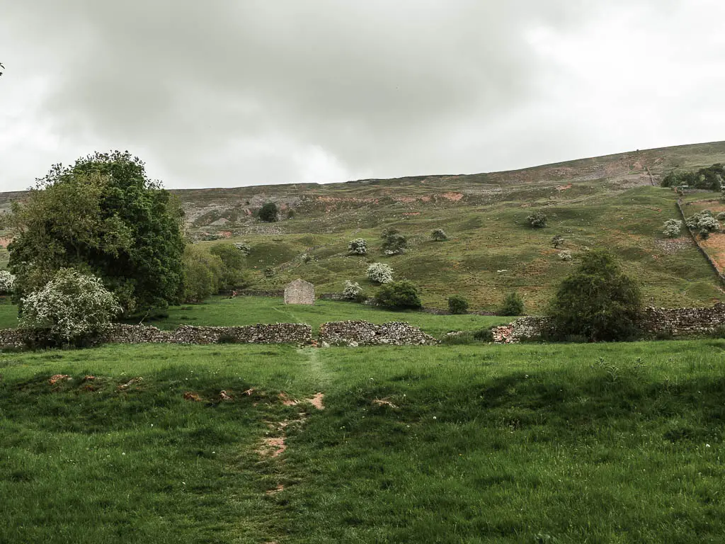 Walking across a large grass field, with a stone wall cutting across it ahead, with a stone shed past the wall, and Fremington Edge rising up behind.
