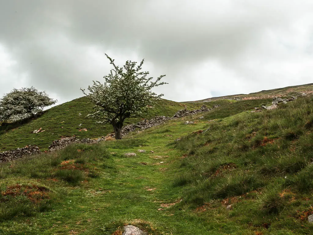 A grass path leading up the hill. There is a stone wall running up the hill on the left.
