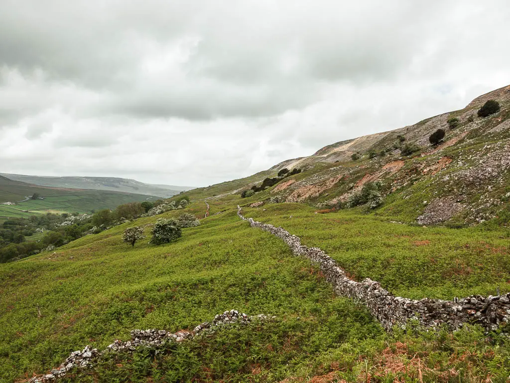 Looking across the side of the hills with a stone wall cutting across it, on the walk up to Fremington Edge.