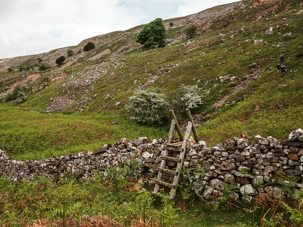 A wooden ladder over a stone wall, with a steep hill rising up on the other side, on the walk up to the top of Fremington Edge.