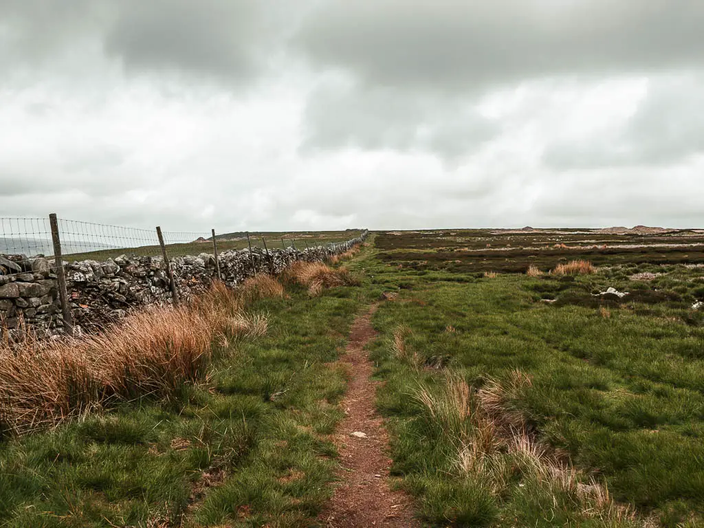 A dirt trail running through the grass on the walk along the top of Fremington Edge. There is a stone wall running straight ahead on the left side/