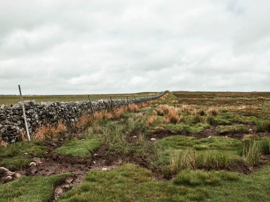 A stone wall running along the top of Fremington Edge. the ground is a mix of grass mud, and moorland.