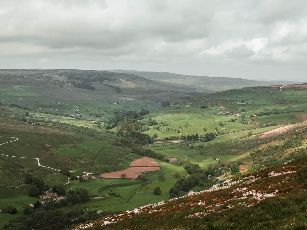 Looking down the hill to the valley below. The landscape is fields of green, with a strip of trees running through the bottom.