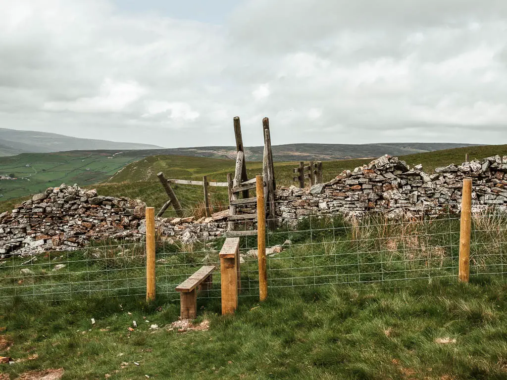 A stone wall, with a wooden ladder going over it. There is a wire fence and stile in front of the wall.