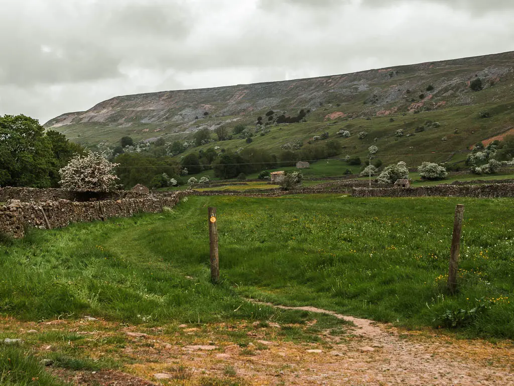 A green grass field, with a stone wall running along the left side, and Fremington Edge rising above ahead.