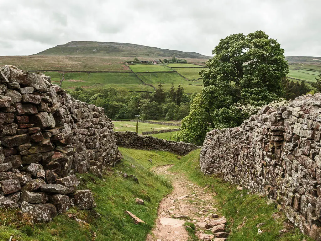 A stoney path running in between two rugged stone walls, on the Fremington Edge circular walk. there is a view to a peak rising above, ahead.