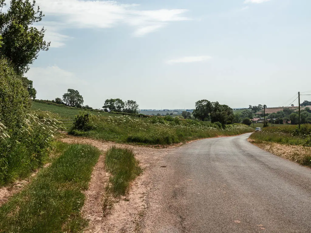 A road leading ahead and to the right with a trail offshoot to the left. The road is lined with strips of green grass.