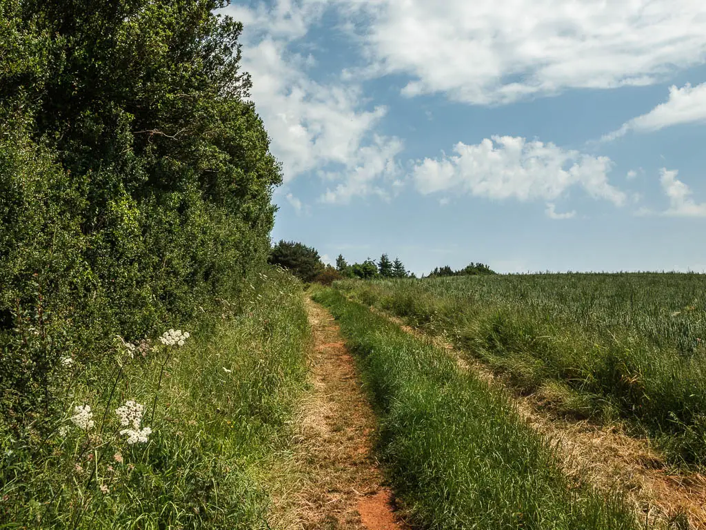 A track trail leading along the edge of a field, with tall green bushes on the left, partway through the Kirkham Priory circular walk.