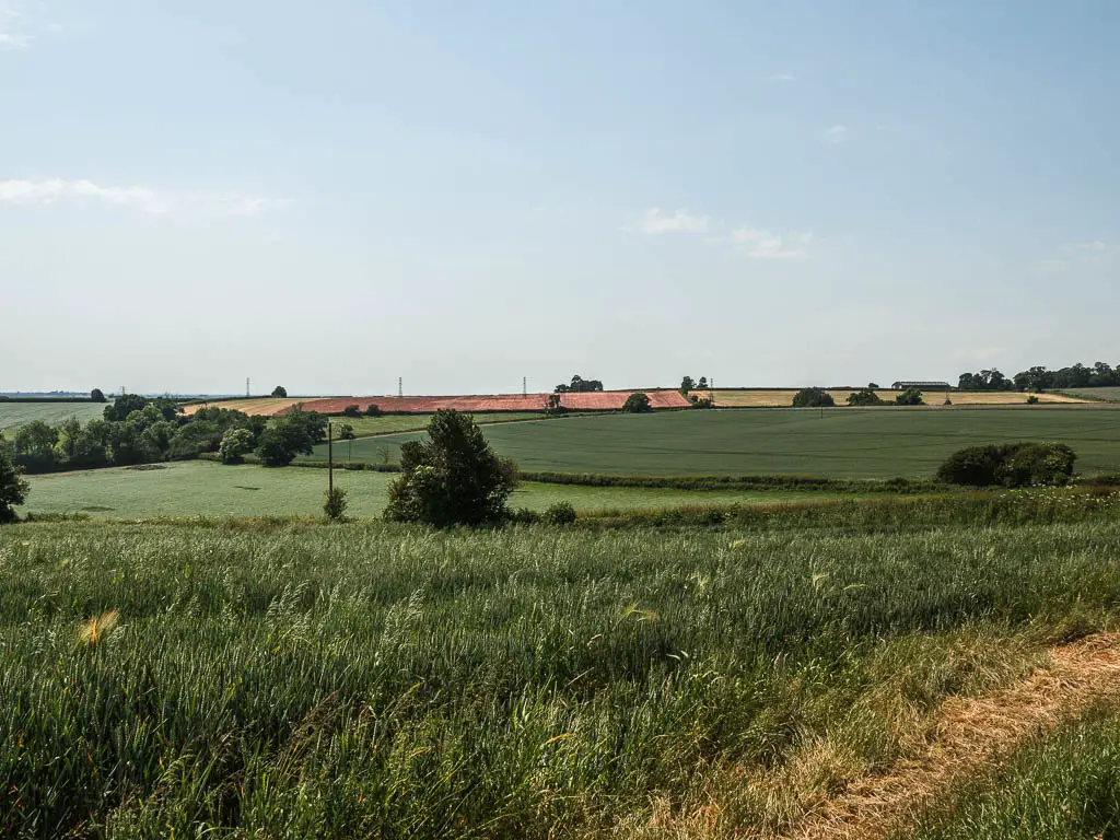 Looking across the undulating fields of green, and orange.