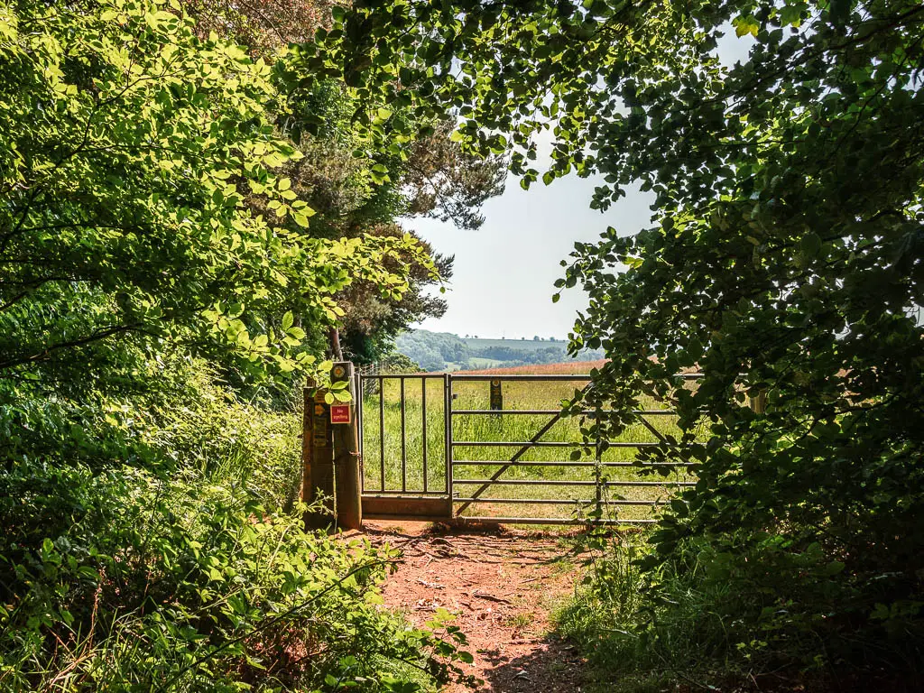 A metal gate surrounded by the bushes of the woodland, leading to the open fields. 