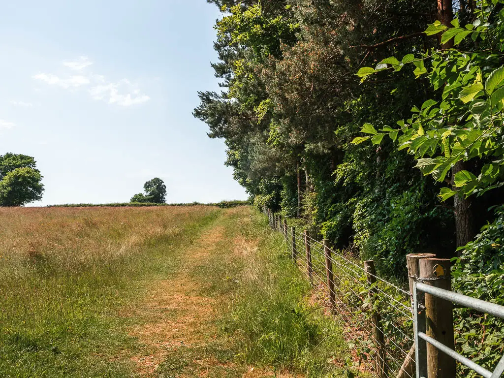 A grass trail along the right side edge of a field, with a wire fence and woodland to the right of the trail.