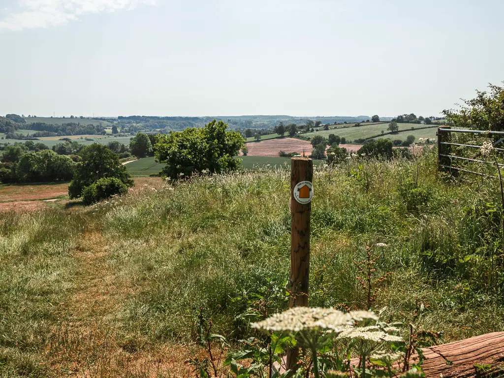 A yellow on a wooden stump, pointing ahead down the hill covered in overgrown grass. There is a view to fields and trees in the distance.