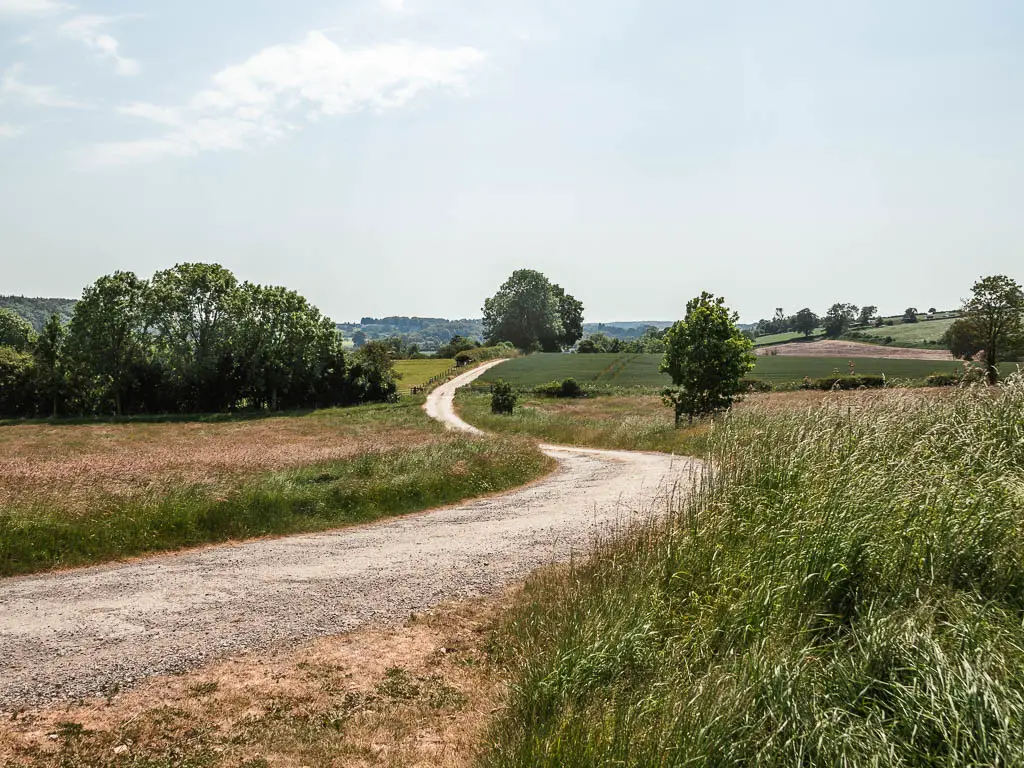 The road, curving ahead, with fields on the right and left of it.