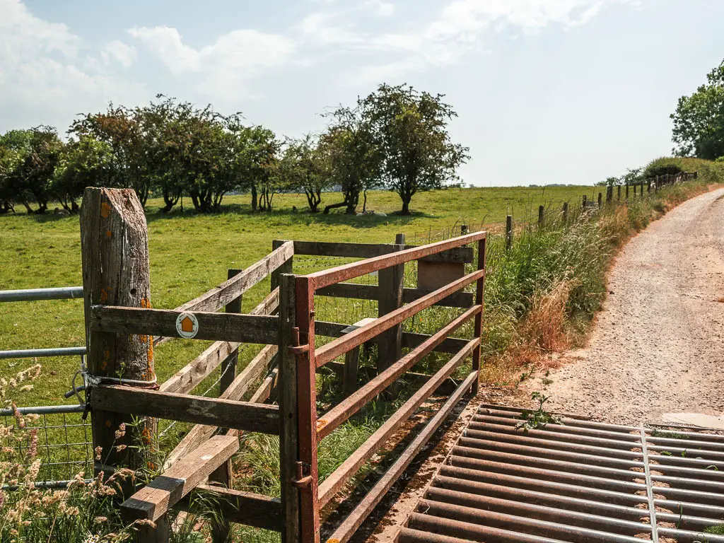 A cattle grid on the road, with a wooden stile on the left side of it.