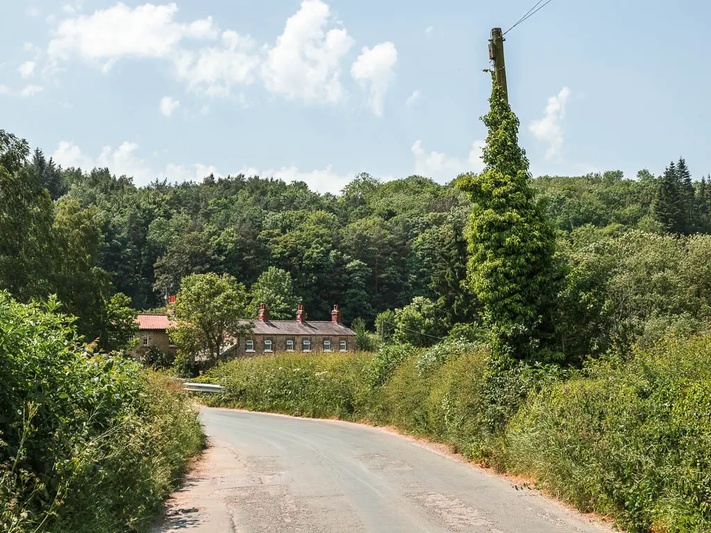 A road curving ahead to the left, lined with green bushes and hedges. There is the top of a cottage visible over the bushes ahead.