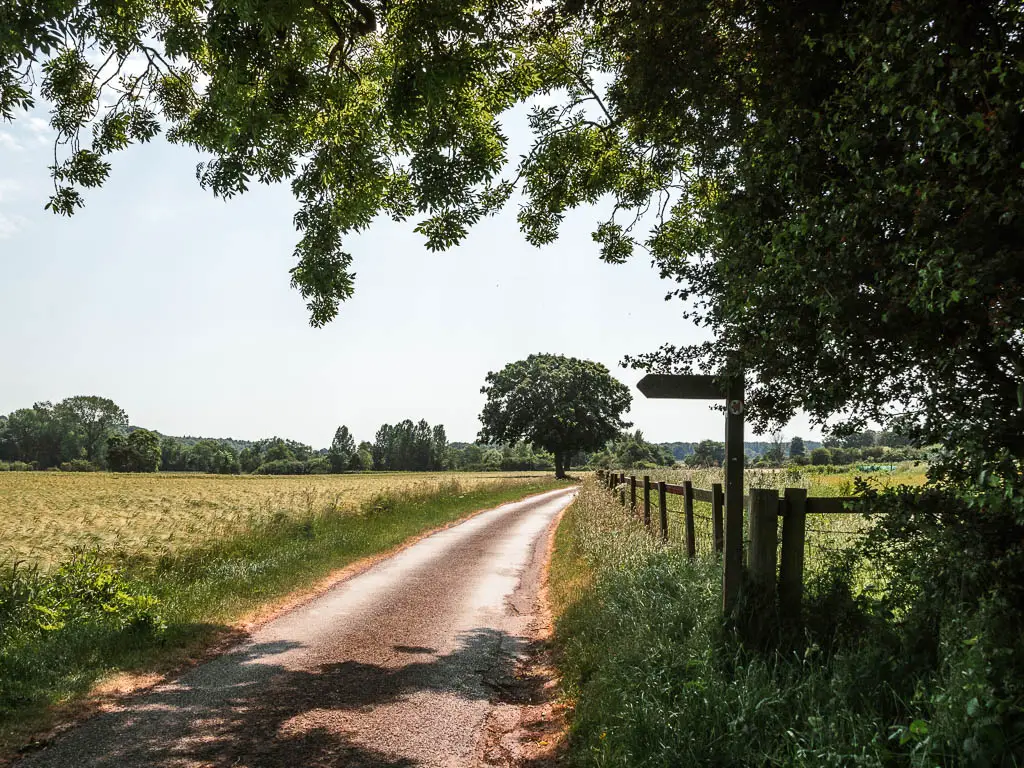 A road leading straight ahead, with a trail signpost on the right side, pointing left to a crop field. There are green tree leaves overhanging the frame.