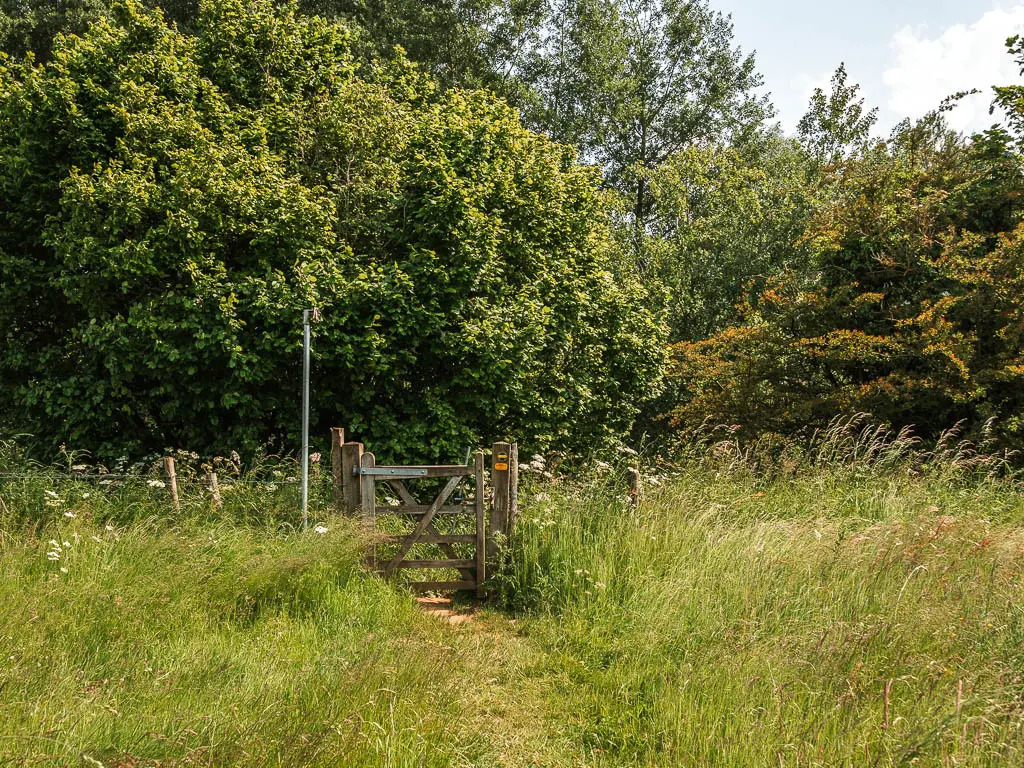 The grass trail through the tall grass, leading to a wooden gate. There is a mass of green bushes and trees on the other side of the gate.