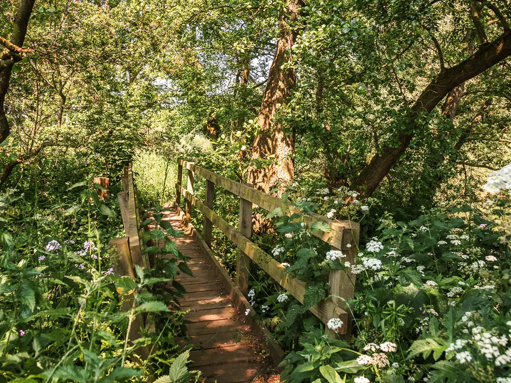 A wooden bridge, surrounded by greenery, flowers, and trees, on the walk towards Kirkham Priory.