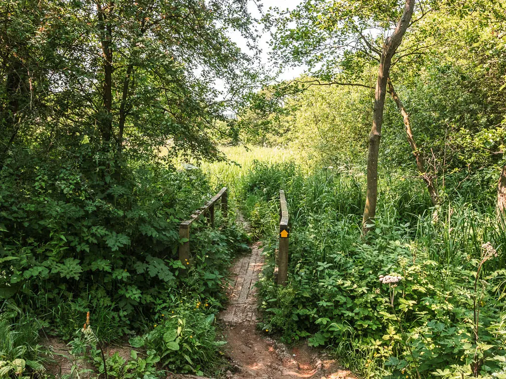 A wooden bridge engulfed by green leafy plants.