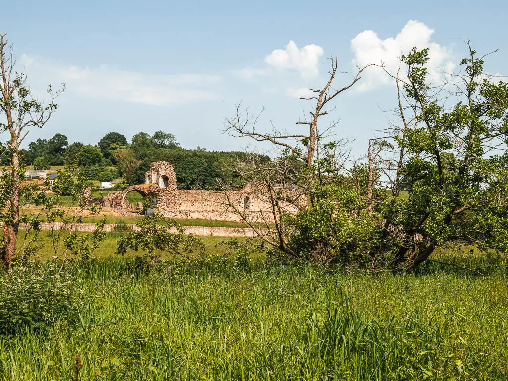 The ruins of Kirkham Priory visible through some straggly tree branches. 