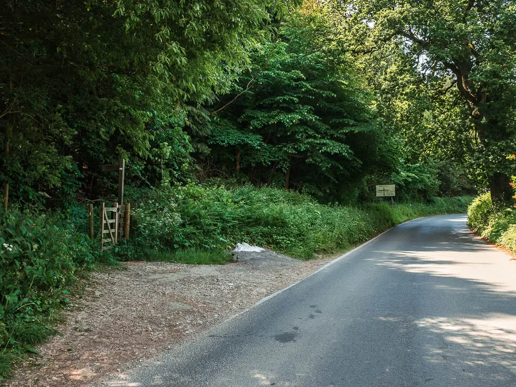 The road on the right, and a wooden gate leading into the mass of green woodland to the left.