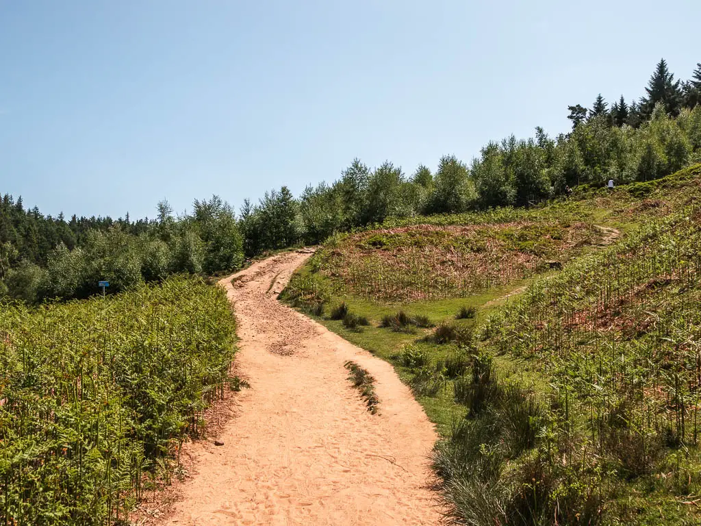 A sandy path winding up the hill, surrounded by greenery. There are woodland trees ahead.