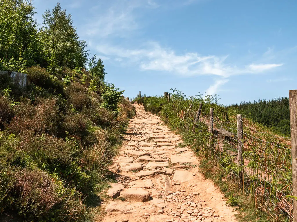 A rugged stone paved uphill path, surround by rugged greenery. there is a wire fence on the right side.