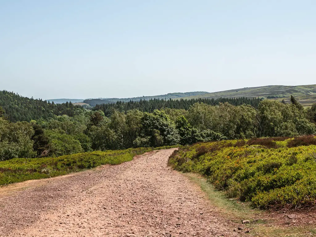 A wide stoney path leading downhill, surround by green coloured moorland, with woodland trees ahead.