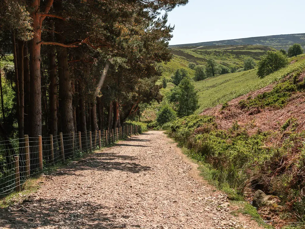 A wide stoney path leading downhill, with a moorland uphill to the right, and a wore fence and woodland to the left.