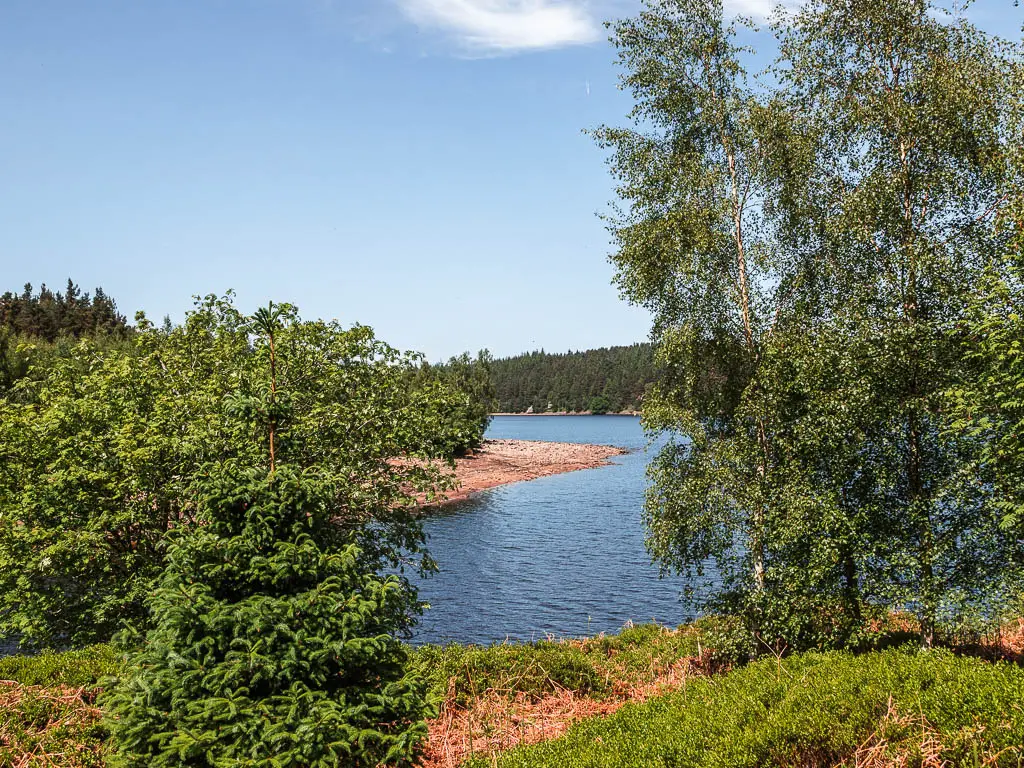 Looking through a gap in the trees to the blue water of the Langsett Reservoir, partway through the walk.