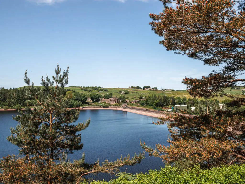 Looking down onto the blue water of the Langsett Reservoir, near the end of the walk. There are a few trees in the frame. 