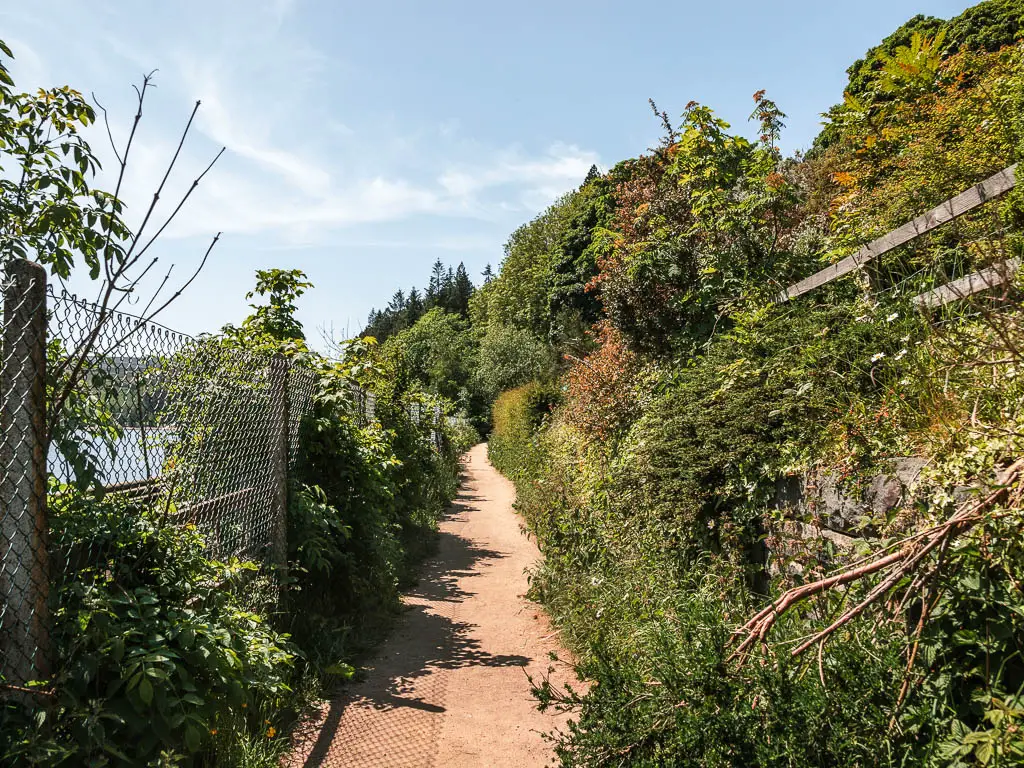 A path lined with greenery, and a wire fence on the left.