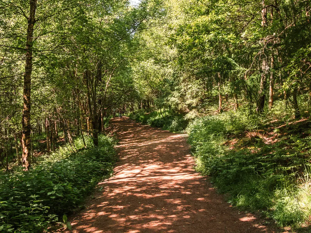 A path lined with green leafed bushes, grass and trees.