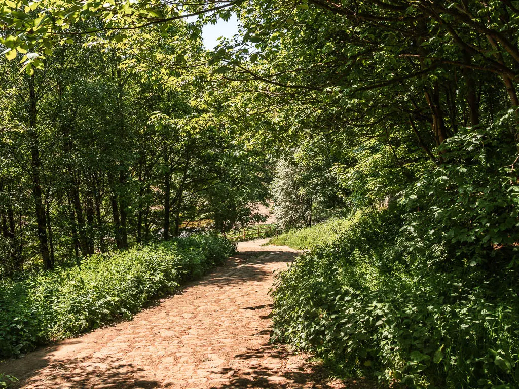 A cobbled path leading down hill, surrounded by green leafy bushes and trees/