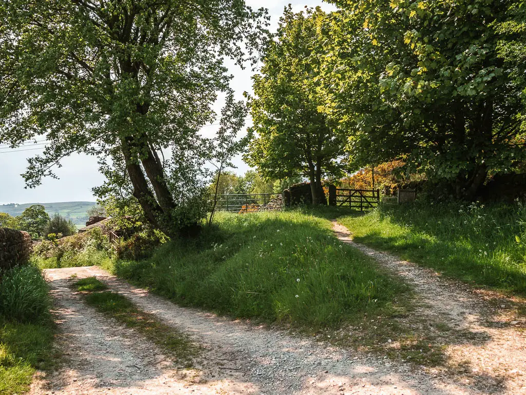 A gravel road split, with there right one leading up a small will towards two gates.