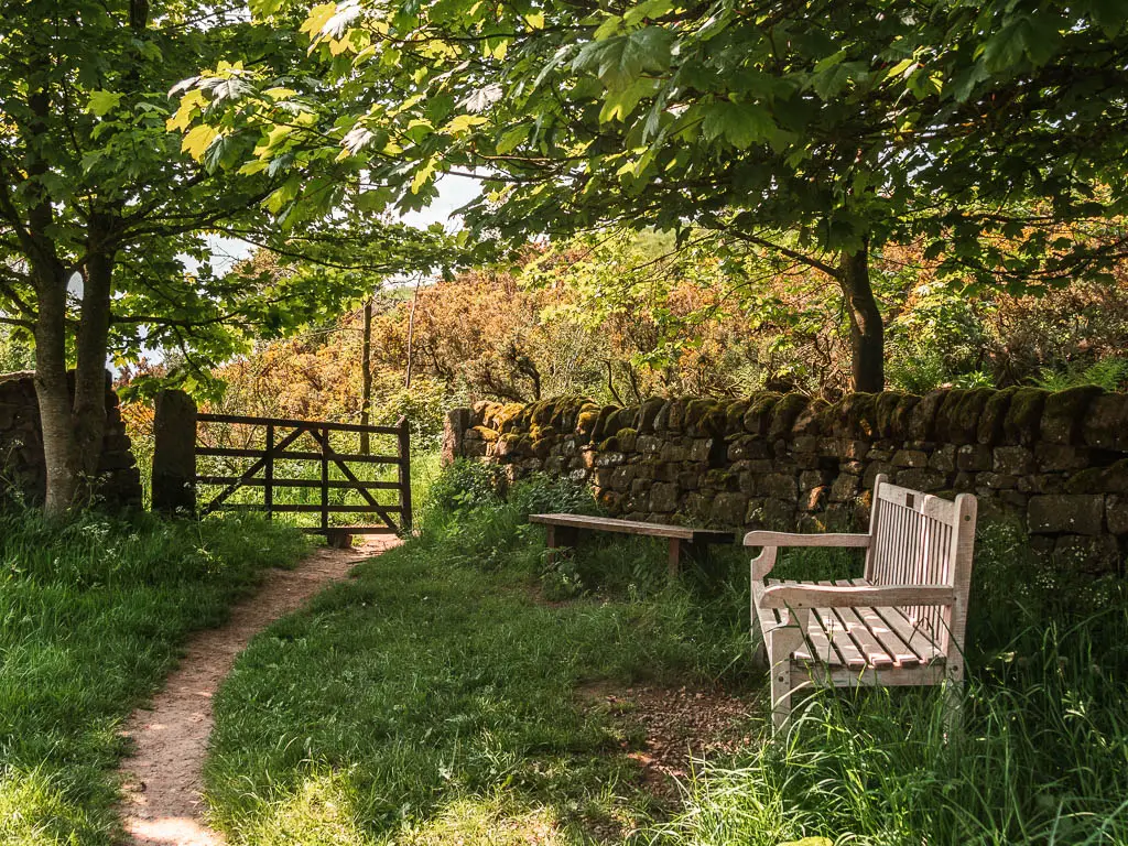 A narrow dirt trail through the grass on the left, with a wooden bench on the right. there is a stone wall on the other side of the bench and a wooden gate through the wall.