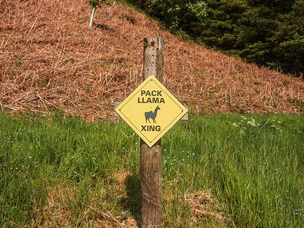 A yellow sign on a wooden stump saying 'pack llama xing'.