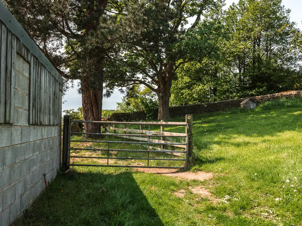 A metal gate in the small grass field, with the shed on the left.