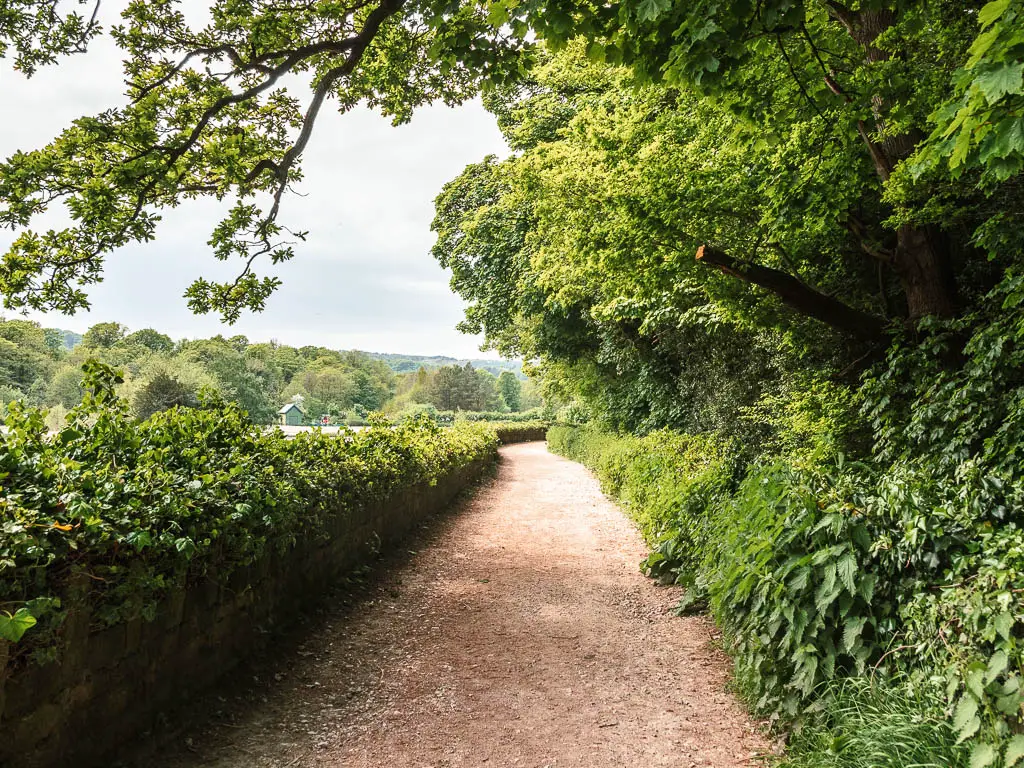 A wide path lined with a stone wall on the left and bushes and trees on the right, near the end of the Pateley Bridge circular walk.