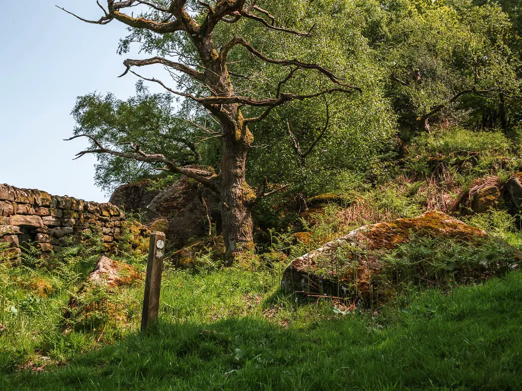 A wooden stump signpost on the grass, pointing right up the hill. past big rocks.