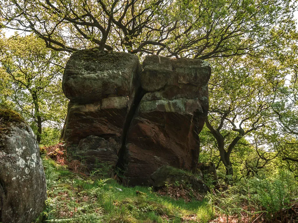 A big rugged rock surround by trees.