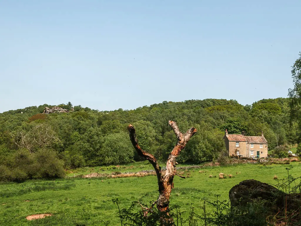 Looking across a large grass field, with a mass of woodland trees on the other side, and a farm house on the other side of the field on the right.