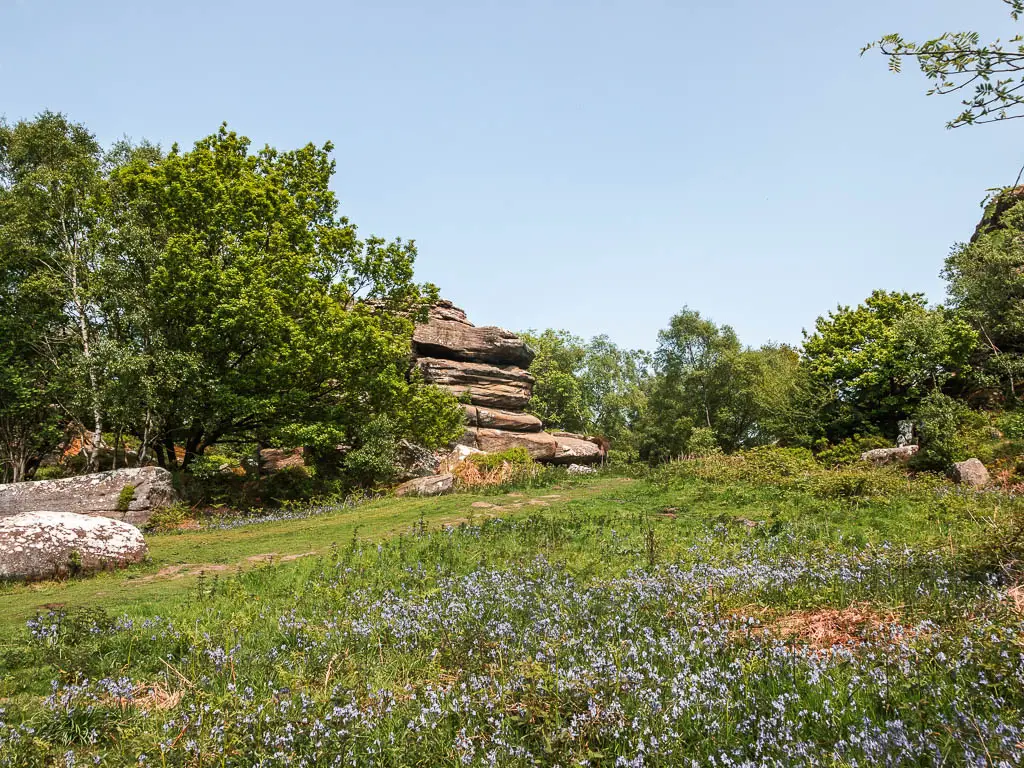 Looking over the bluebells and grass to one of the big rocks the other side of the green, partway through the circular walk from Pateley Bridge.