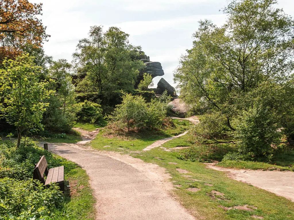 A path curving to the left, with a bench next to it. There are green bushes and trees surrounding the path ahead.