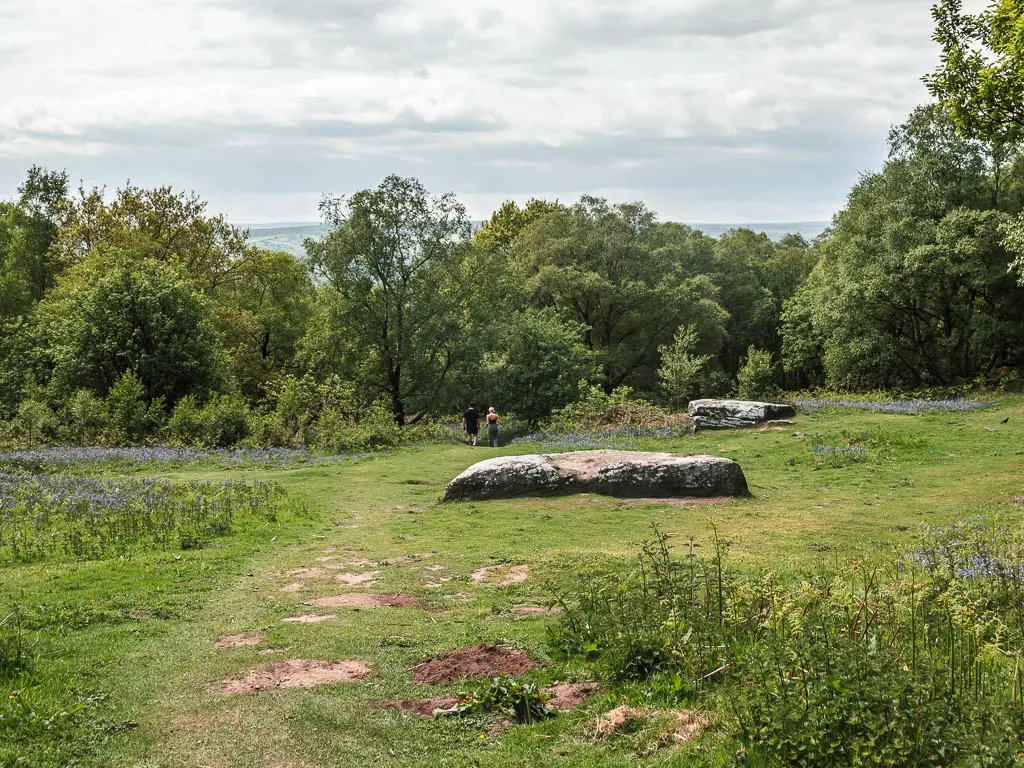 A large grass ahead, with trees on the other side. There is a big flat rock on the middle of the green. There are people walking into the woods on the other side.