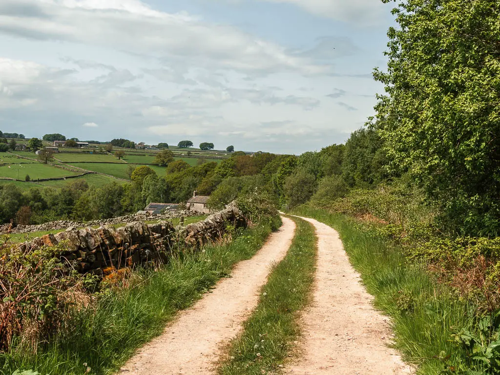 A track type road with green leaved bushes and trees to the right, and a stone wall to the left, on the circular walk back to Pateley Bridge. There are hill fields ahead in the distance.