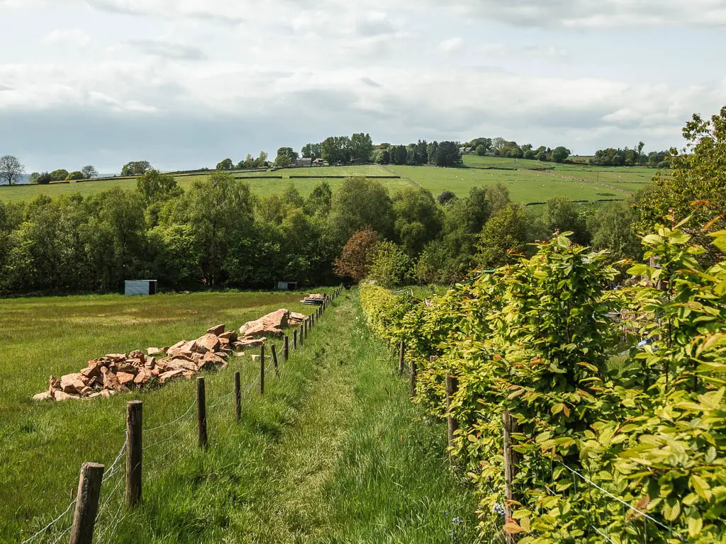 A grass trail leading downhill towards the woods at the bottom. the trail is lined with bushes on the right, and a wore fence on the left, with a large grass field on the other side of the fence.