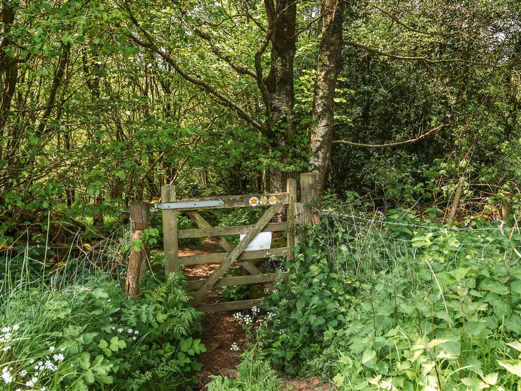 A wooden gate leading into the woods. The gate is surround by green leafed pants. 